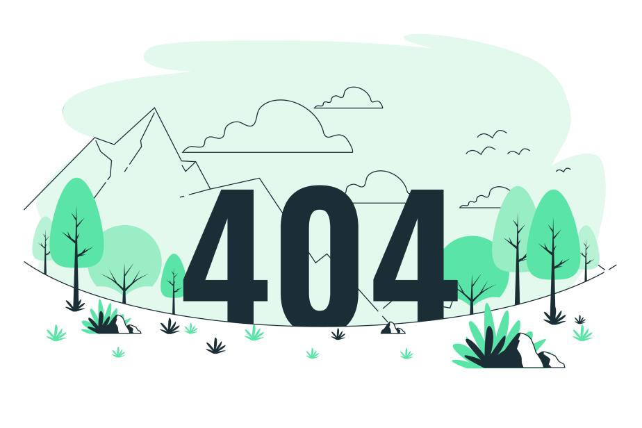 404 Page
